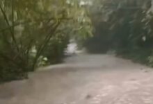 Banjir Bandang Merendam Jalan Poros Desa Polebunging Selayar