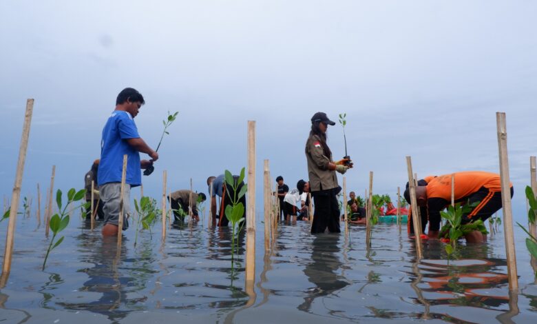 Jaga Masa Depan Pesisir, LAZ Hadji Kalla Dukung Penanaman 2.000 Mangrove di Majene