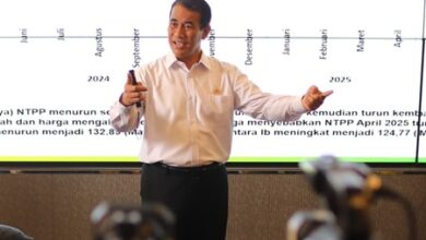 Mentan Amran: Negara Tidak Boleh Kalah dari Mafia Pangan