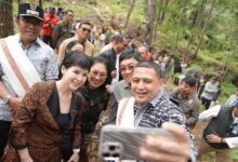 Festival Hutan Toraja, Munafri: Persaudaraan Kita Lebih Kuat dari Perbedaan