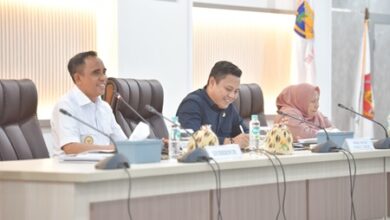 Pemprov Sulteng Sampaikan Usulan Strategis Infrastruktur ke Komisi V DPR RI