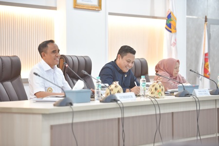 Pemprov Sulteng Sampaikan Usulan Strategis Infrastruktur ke Komisi V DPR RI