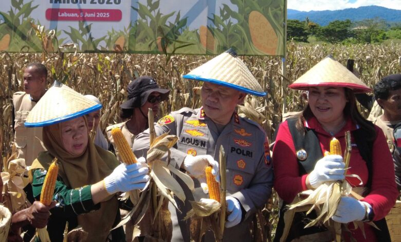 Wagub Sulteng Hadiri Panen Raya Jagung Serentak Kuartal II di Kabupaten Donggala