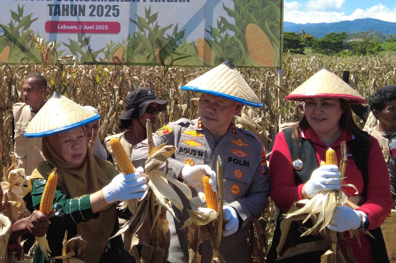 Wagub Sulteng Hadiri Panen Raya Jagung Serentak Kuartal II di Kabupaten Donggala
