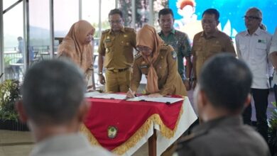 RPJMD dan RKPD Gowa 2025-2029 Kepemimpinan Hati Damai Fokus Transformasi Sosial dan Ekonomi