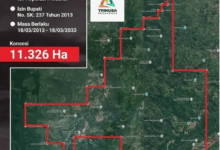 Warga Sinjai Tolak Tambang Emas: Ancaman Lingkungan dan Kehidupan Jadi Alasan Utama