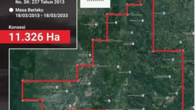 Warga Sinjai Tolak Tambang Emas: Ancaman Lingkungan dan Kehidupan Jadi Alasan Utama