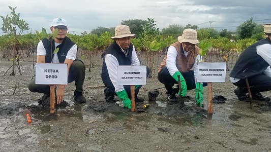 Staf Ahli Gubernur Pimpin Aksi Tanam Mangrove