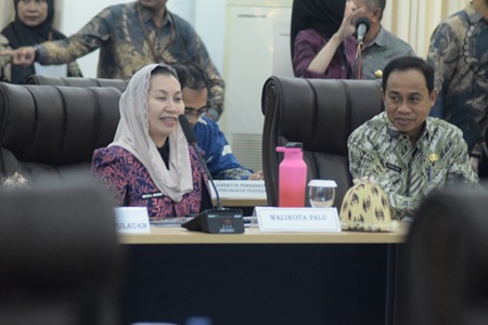 Wakil Wali Kota Palu Imelda Liliana Pertemuan Bersama Rombongan Komisi V DPR RI, Ini Yang Dibahas