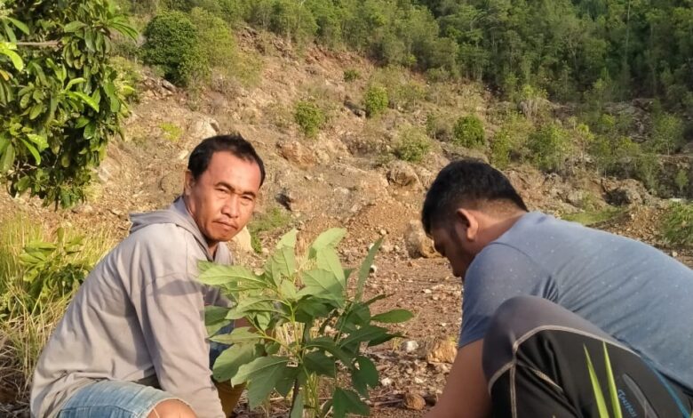 YLH Tana Merah Tanam 1000 Pohon di Lahan Bekas Tambang