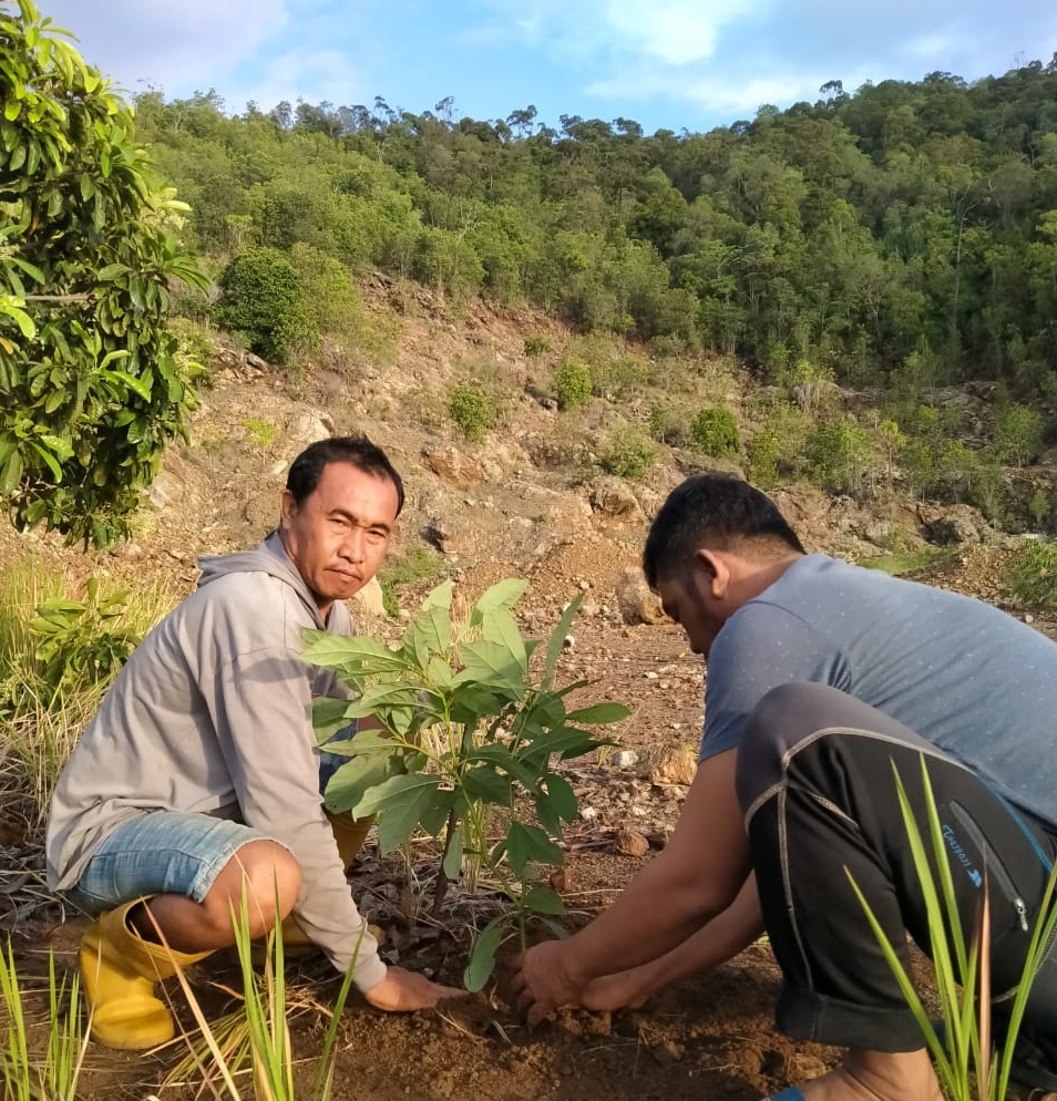 YLH Tana Merah Tanam 1000 Pohon di Lahan Bekas Tambang