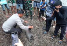 Orang Tuan Bejat di Bone Tega Buang Bayinya di Lorong Jalan Hingga Meninggal