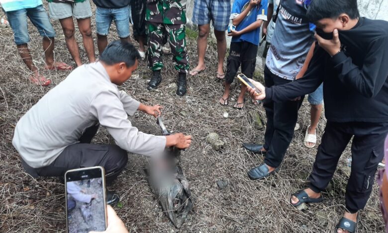 Orang Tuan Bejat di Bone Tega Buang Bayinya di Lorong Jalan Hingga Meninggal