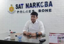 Sepekan, Satres Narkoba Polres Bone Ungkap 7 Kasus dan Amankan 9 Pelaku