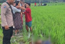 Dendam Lama, Memicu Mammatang Warga Desa Sailong Bone, Gorok Leher Tetangga Hingga Meninggal