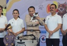 Boby Kartanegara Guest Star di Polri Cat Lovers Social Day 2025