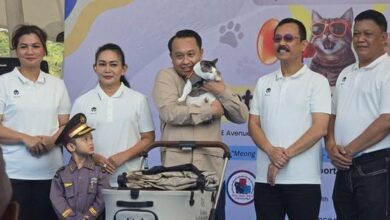 Boby Kartanegara Guest Star di Polri Cat Lovers Social Day 2025