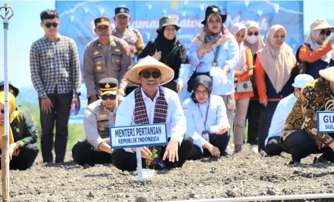 Mentan Amran Canangkan Majene Jadi "Kabupaten Bawang" di Sulbar, Pasok KTI