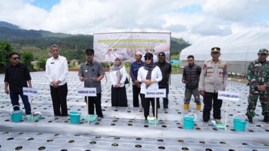 Pemprov Sulsel-Pemkab Gowa Komitmen Perkuat Komoditas Kentang di Dataran Tinggi