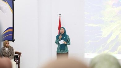 Matangkan Lomba Vlog, Pokja II TP PKK Makassar Gelar Workshop