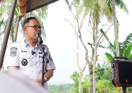 emerintah Kabupaten Bone, Sulawesi Selatan, hingga saat ini menunggu keputusan dari pemerintah pusat mengenai pembentukan Kabupaten Bone Selatan sebagai Daerah Otonomi Baru (DOB)