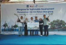 ASTRA GROUP & KALLA TOYOTA TANAM 20.000 MANGROVE DI RAMMANG-RAMMANG, PERKUAT KETAHANAN PESISIR