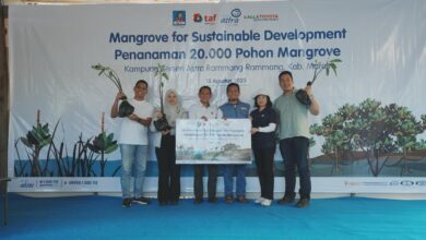 ASTRA GROUP & KALLA TOYOTA TANAM 20.000 MANGROVE DI RAMMANG-RAMMANG, PERKUAT KETAHANAN PESISIR