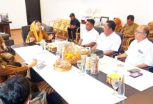 Wakil Wali Kota Imelda Liliana Terima Pengurus HIMKI Sulteng dan Pusat Bahas Pengembangan Industri Mebel dan Kerajinan