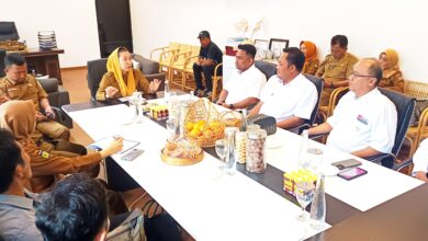 Wakil Wali Kota Imelda Liliana Terima Pengurus HIMKI Sulteng dan Pusat Bahas Pengembangan Industri Mebel dan Kerajinan