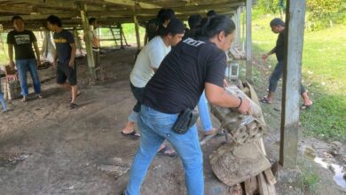Kerap Lakukan Praktik Perjudian Arena Judi Sabung Ayam Dibongkar Tim Gabungan Polres Bone