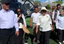Mentan RI Bawa Berkunjung Bu Titiek Suharto Ke Bone Petani Dapat Bantuan Bibit 60 Ribu Hektar