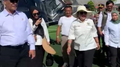 Mentan RI Bawa Berkunjung Bu Titiek Suharto Ke Bone Petani Dapat Bantuan Bibit 60 Ribu Hektar