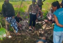 Niat Mencari Ikan Warga Kabupaten Sinjai Ini Tewas Kesetrum Listrik Di Sungai