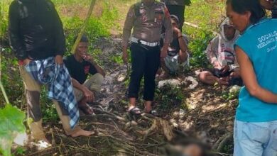 Niat Mencari Ikan Warga Kabupaten Sinjai Ini Tewas Kesetrum Listrik Di Sungai