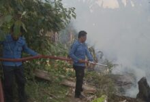 Respon Time Kembali Ditunjukkan Posko Damkarmat, Tindaklanjuti Informasi Kebakaran Lahan di Depan Kantor Diknas