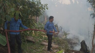 Respon Time Kembali Ditunjukkan Posko Damkarmat, Tindaklanjuti Informasi Kebakaran Lahan di Depan Kantor Diknas