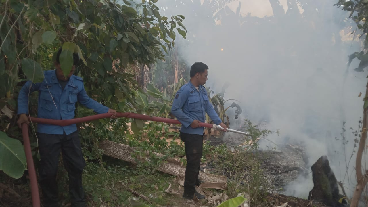 Respon Time Kembali Ditunjukkan Posko Damkarmat, Tindaklanjuti Informasi Kebakaran Lahan di Depan Kantor Diknas