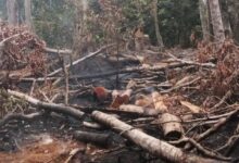 Damkarmat Selayar Berhasil Tangani Tiga Kebakaran Lahan dalam Sehari