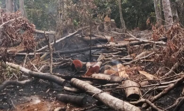 Damkarmat Selayar Berhasil Tangani Tiga Kebakaran Lahan dalam Sehari