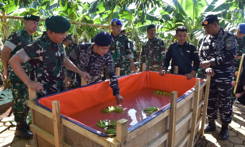 Komandan Kodaeral VI Hadiri Perayaan Penen Raya Pisang Cavendish Sambut HUT Ke-80 TNI di Divif 3 Kostrad