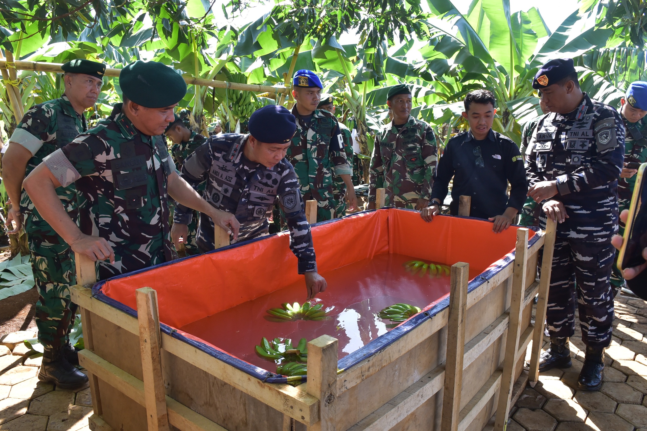Komandan Kodaeral VI Hadiri Perayaan Penen Raya Pisang Cavendish Sambut HUT Ke-80 TNI di Divif 3 Kostrad