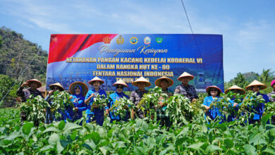 Gebyar HUT ke-80 TNI, Kodaeral VI Gelar Aksi Sosial dari Baksos, Kesehatan Gratis dan Ketahanan Pangan di Maros