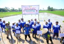 Lewat One Day One District, Hati Damai Serap Kebutuhan Petani di Bajeng Barat