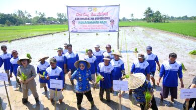 Lewat One Day One District, Hati Damai Serap Kebutuhan Petani di Bajeng Barat
