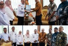 Wali Kota Palu Terima Kunjungan Kepala Perwakilan BPKP Sulteng