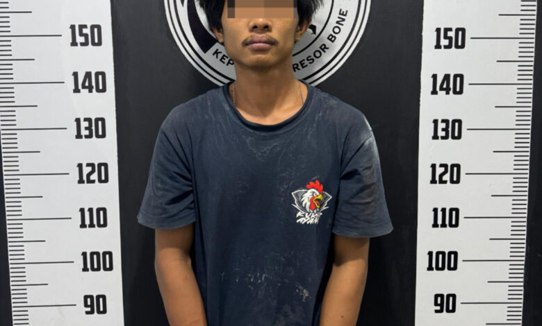 Satuan Narkoba Polres Bone Kembali Ringkus Pelaku Residivis Jaringan Narkoba