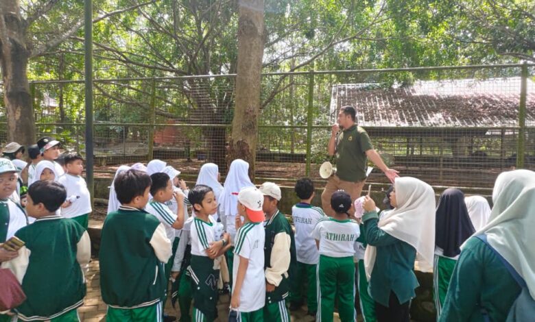 Siswa SD Islam Athirah 2 Belajar Kepedulian terhadap Satwa Lewat Field Trip