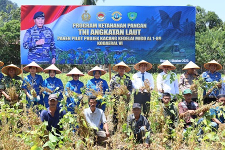 Peringati HUT Ke-80 TNI Tahun 2025, Kodaeral VI Gelar Panen Perdana Kacang Kedelai MIGO AL1-89 di Kab. Maros