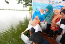 Perkuat Ketahanan Pangan, Ketua DWP Sulsel Bersama Warga Tebar 50 Ribu Benih Ikan di Danau Mawang Gowa