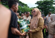 Pemkab Gowa Komitmen Perkuat Ketahanan Pangan dan Produktivitas Pertanian